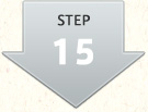 step15