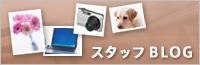 スタッフブログ